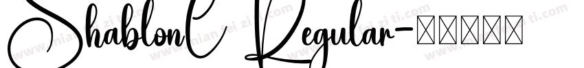 ShablonC Regular字体转换